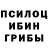 Псилоцибиновые грибы Cubensis Leonnie