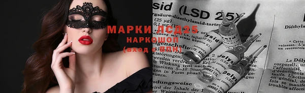 прущие крисы Абаза