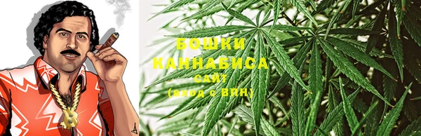 прущие крисы Абаза