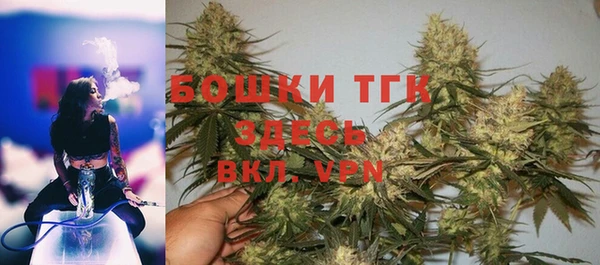 дживик Саяногорск